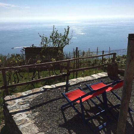 Il Nettare Agriturismo Villa Riomaggiore Exterior photo