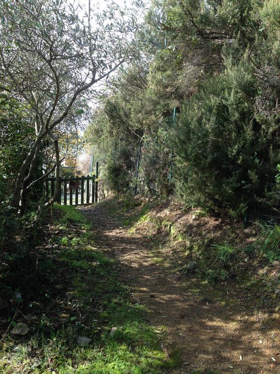 Il Nettare Agriturismo Villa Riomaggiore Exterior photo